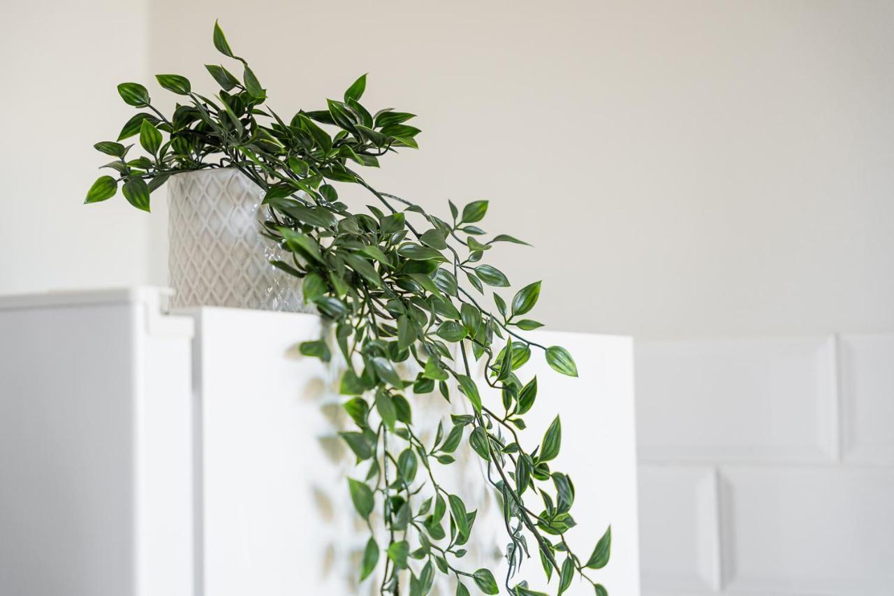 Catarina'S Little Corner By Lovelystay Porto Luaran gambar